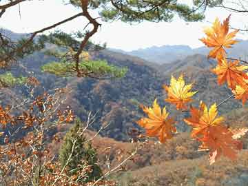 最新張召忠談朝鮮視頻，深度解析與觀察