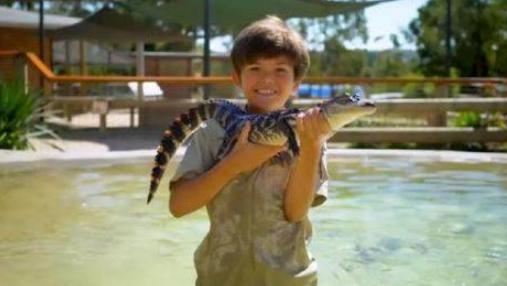 瘋狂動物園最新無敵版，探索與馴服的極致體驗