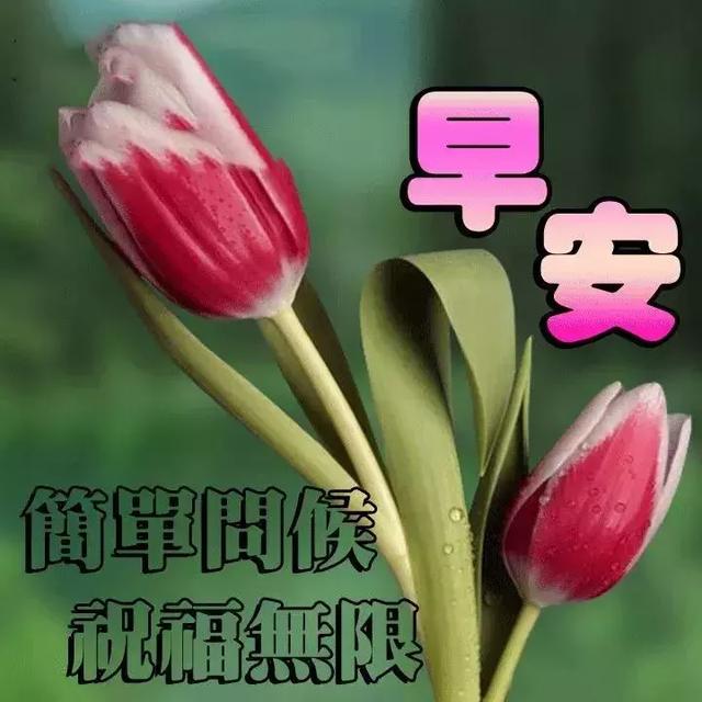 最新早上好表情圖，開(kāi)啟美好一天的溫馨問(wèn)候