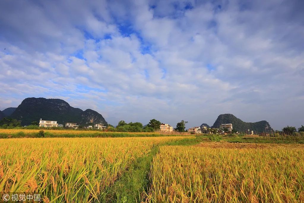 井岡山旅游上市最新動態(tài)，發(fā)展機(jī)遇與挑戰(zhàn)并存