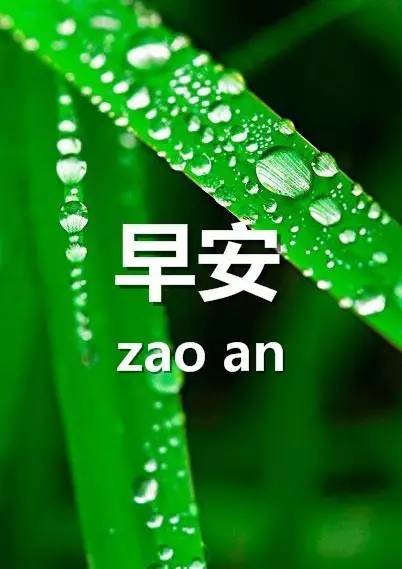 最新早安問候語(yǔ)微信，開啟美好一天的溫馨問候