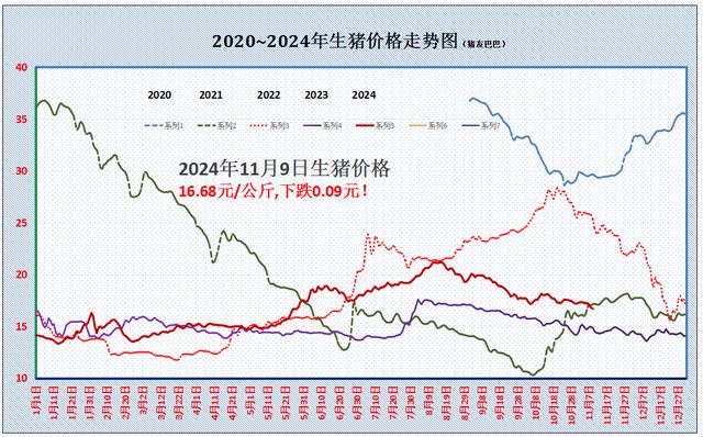 2024年11月 第61頁